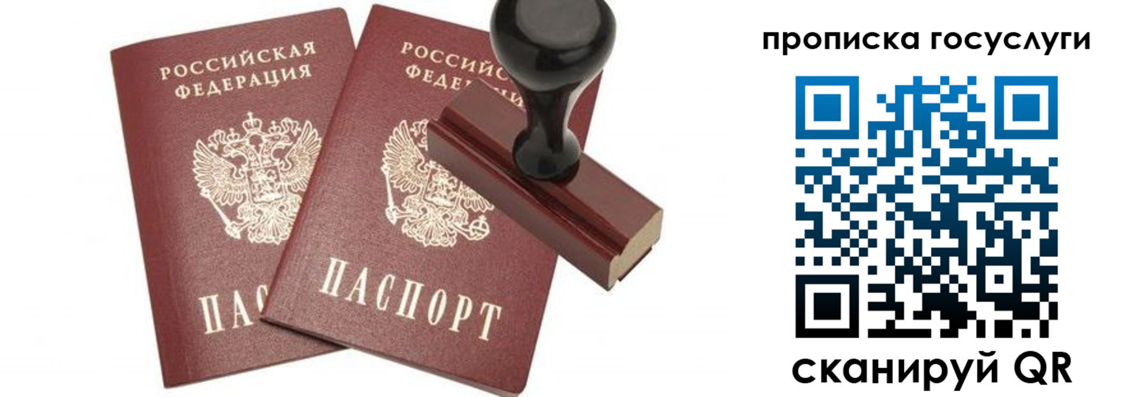прописка в Саранске